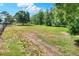 Expansive lot with green grass and trees, showcasing outdoor space and potential for customization at 14810 Brahma Rd, Polk City, FL 33868