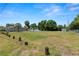 Large grassy yard with a shed, gazebo, lake access, and mature trees at 2103 Sylvester Ct, Lakeland, FL 33803