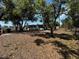 The spacious backyard, with some trees, has patchy ground cover at 2610 Eaton Ave, Lakeland, FL 33803