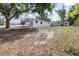 Large backyard with plenty of space for recreation and relaxation under mature trees at 280 W Pierce St, Lake Alfred, FL 33850