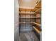 Walk-in closet offering ample storage space with shelving at 2933 Blackwater Oaks Dr, Mulberry, FL 33860