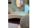 Artistic decor element in front of a blurred living room background with chaise lounge and mirror at 3233 Gardner Rd, Lakeland, FL 33810