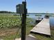 Picturesque lake view with a boat dock and water lilies on a sunny day at 427 Longfellow Blvd, Lakeland, FL 33801