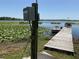 Scenic view of a lake with a boat dock and lush water lilies on a sunny day at 427 Longfellow Blvd, Lakeland, FL 33801