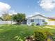 Backyard of a blue house with a manicured lawn and a white privacy fence at 502 Duchess Dr, Lakeland, FL 33803