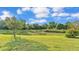 Expansive backyard with lush green grass and mature trees, offering serene views at 1036 Stoney Creek Dr, Lakeland, FL 33811