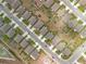 Bird's eye view of houses shows the layout of this residential area at 1821 Thompson Preserve Boulevard, Bartow, FL 33830