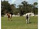 Horses grazing in a green pasture, partially enclosed by a white fence at 2070 W Lake Hamilton Dr, Winter Haven, FL 33881