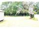Expansive backyard with lush greenery, mature trees, and a fenced perimeter at 255 S Pennsylvania Ave, Lake Alfred, FL 33850