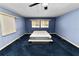 Bedroom with blue walls and carpet, ceiling fan, and multiple windows creating a bright and airy space at 3027 Mimosa Way, Lakeland, FL 33801