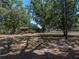 Spacious backyard with mature trees, offering a serene and private outdoor space at 3705 Garland St, Mulberry, FL 33860
