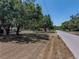 Quiet street view showing the property's location and neighborhood, surrounded by large, shady trees at 3705 Garland St, Mulberry, FL 33860