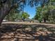 Expansive yard featuring mature trees and plenty of space for outdoor activities and gardening at 3705 Garland St, Mulberry, FL 33860