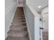 Carpeted stairway with white handrail leads to the upper level at 4078 Winding Vine Dr, Lakeland, FL 33812