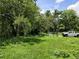 Backyard featuring a grassy yard, trees with Spanish moss, and a white pickup truck parked nearby at 4885 Cherry Dr, Mulberry, FL 33860