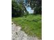 View of overgrown backyard at 4885 Cherry Dr, Mulberry, FL 33860