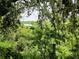 Scenic view of lush greenery and a distant lake, framed by trees with Spanish moss at 4885 Cherry Dr, Mulberry, FL 33860