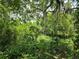 Scenic view of lush greenery and a distant lake, framed by trees with Spanish moss at 4885 Cherry Dr, Mulberry, FL 33860