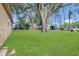A sprawling green backyard with mature trees and wooden shed at 7208 Thomas Jefferson Cir, Bartow, FL 33830
