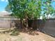 Backyard featuring a mature tree, grass, and a dark chainlink fence at 7952 Grand Pines Blvd, Lakeland, FL 33810