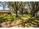 Expansive backyard with mature trees providing shade and privacy, perfect for outdoor activities at 909 Lake Deeson Pt, Lakeland, FL 33805