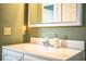Bathroom vanity featuring a white sink, cabinet, and decorative soap dispenser at 909 Lake Deeson Pt, Lakeland, FL 33805