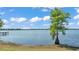 Scenic lake view features tranquil water, a clear sky, and a picturesque lakeside tree at 118 Lake Sears Dr, Winter Haven, FL 33880