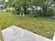 Spacious backyard with lush green grass and large shade trees at 625 W 9Th St, Lakeland, FL 33805