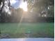 Backyard view showcasing green space, bright sunlight and mature trees at 676 Jessanda Cir, Lakeland, FL 33813