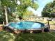 Backyard in-ground pool with clear blue water and lawn at 135 E Columbia St, Lake Alfred, FL 33850