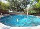 Backyard in-ground pool with clear blue water and mesh netting under trees at 135 E Columbia St, Lake Alfred, FL 33850