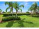 Spacious backyard features green grass, manicured landscaping, and mature palm trees at 1772 Laurel Glen Pl, Lakeland, FL 33803