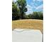 Large backyard with trees and a patio at 2220 W Lanier St, Lakeland, FL 33815