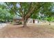 A single-story home has a large tree that offers shade and privacy at 236 Hillside Dr, Lakeland, FL 33803