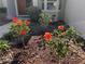 Charming landscaped yard with red flowers, mulch, and manicured plants at 305 Woods Landing Dr, Lady Lake, FL 32159