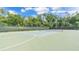 Well-maintained tennis court surrounded by lush greenery, offering a space for recreational play at 3926 Aquilla Dr, Lakeland, FL 33810