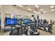 Spacious gym featuring state-of-the-art equipment, mirrored walls, and multiple ceiling fans at 4088 Prima Lago Cir, Lakeland, FL 33810