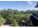 Scenic view from the balcony overlooking a lush green park with mature trees at 530 E Central Blvd # 405, Orlando, FL 32801