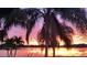 Beautiful sunset view with palm trees reflecting on the water at 1208 W Lake Buckeye Dr, Winter Haven, FL 33881