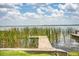 Lakefront dock with a serene view of the lake and lush reeds, perfect for boating at 1328 Edgewater Beach Dr, Lakeland, FL 33805