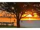 Picturesque sunset view over the water, enhanced by foreground tree with decorative bird feeders at 1328 Edgewater Beach Dr, Lakeland, FL 33805