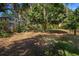 The expansive backyard features mature trees, creating a serene and shaded space ideal for relaxation and outdoor activities at 402 W Patterson St, Lakeland, FL 33803