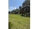 View of the large grassy lawn with mature trees at 629 N Cleveland Ave, Fort Meade, FL 33841