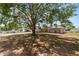 Charming single-story home surrounded by mature trees, offering shade and curb appeal at 790 Chelsea Way, Lake Wales, FL 33853