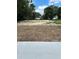 View of the spacious backyard from the porch at 1329 Tom Watson Rd, Lakeland, FL 33801