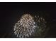 Spectacular fireworks display at night with golden bursts lighting up the sky at 13525 Gorgona Isle Dr, Windermere, FL 34786