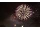 Nighttime fireworks display with vibrant bursts of light illuminating the dark sky, creating a celebratory atmosphere at 13525 Gorgona Isle Dr, Windermere, FL 34786