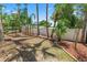 Spacious backyard showcasing well-maintained landscaping with palm trees and mature trees at 1628 Lakewood S Dr, Lakeland, FL 33813