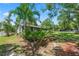 Exterior view with well-landscaped yard, showing lush greenery and a serene, tropical feel at 1628 Lakewood S Dr, Lakeland, FL 33813