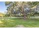 Expansive backyard featuring lush green grass, a white fence, and a large tree with Spanish moss at 2047 Winterset Dr, Lakeland, FL 33813